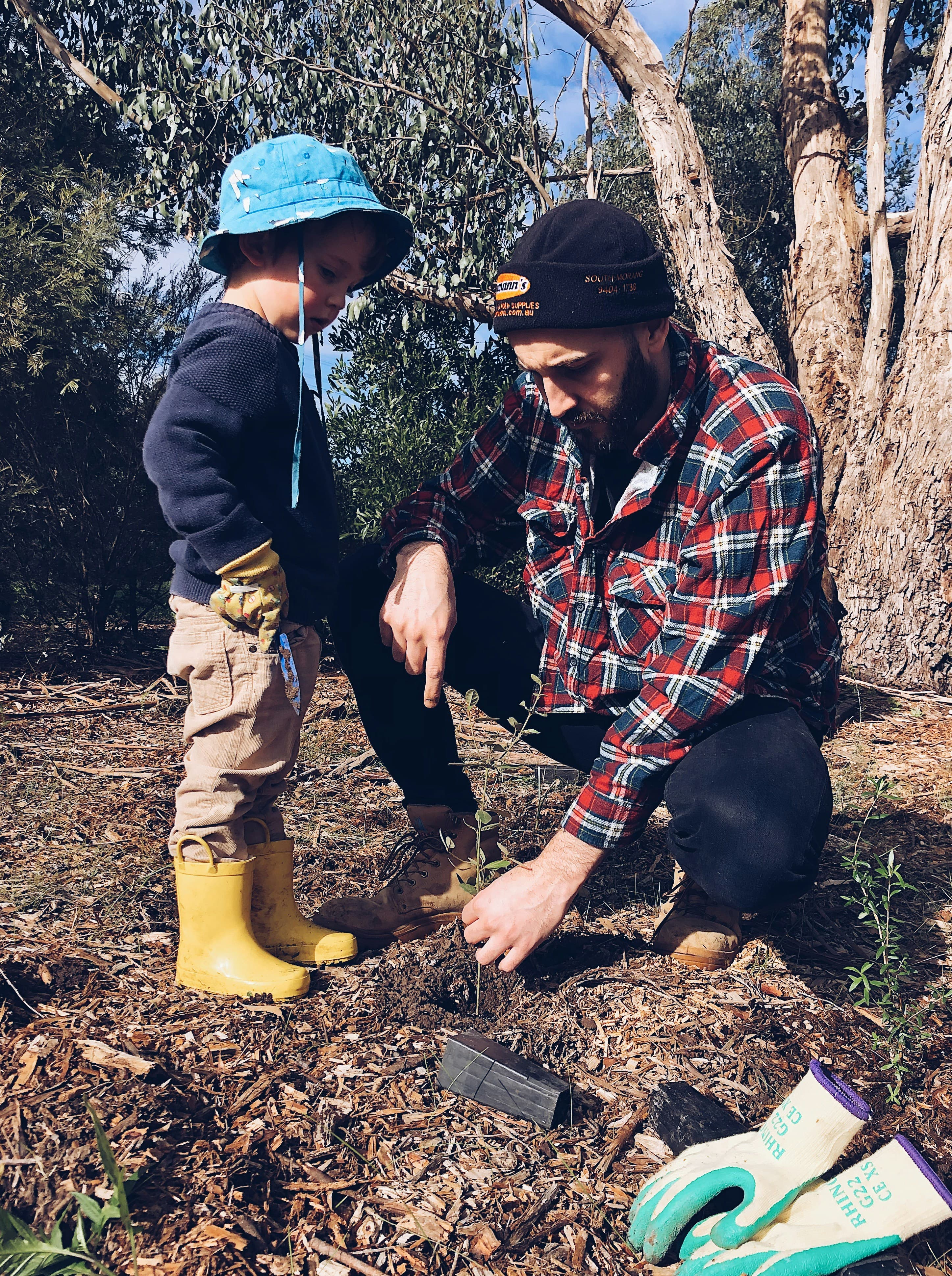 Soil Fertilization & Care