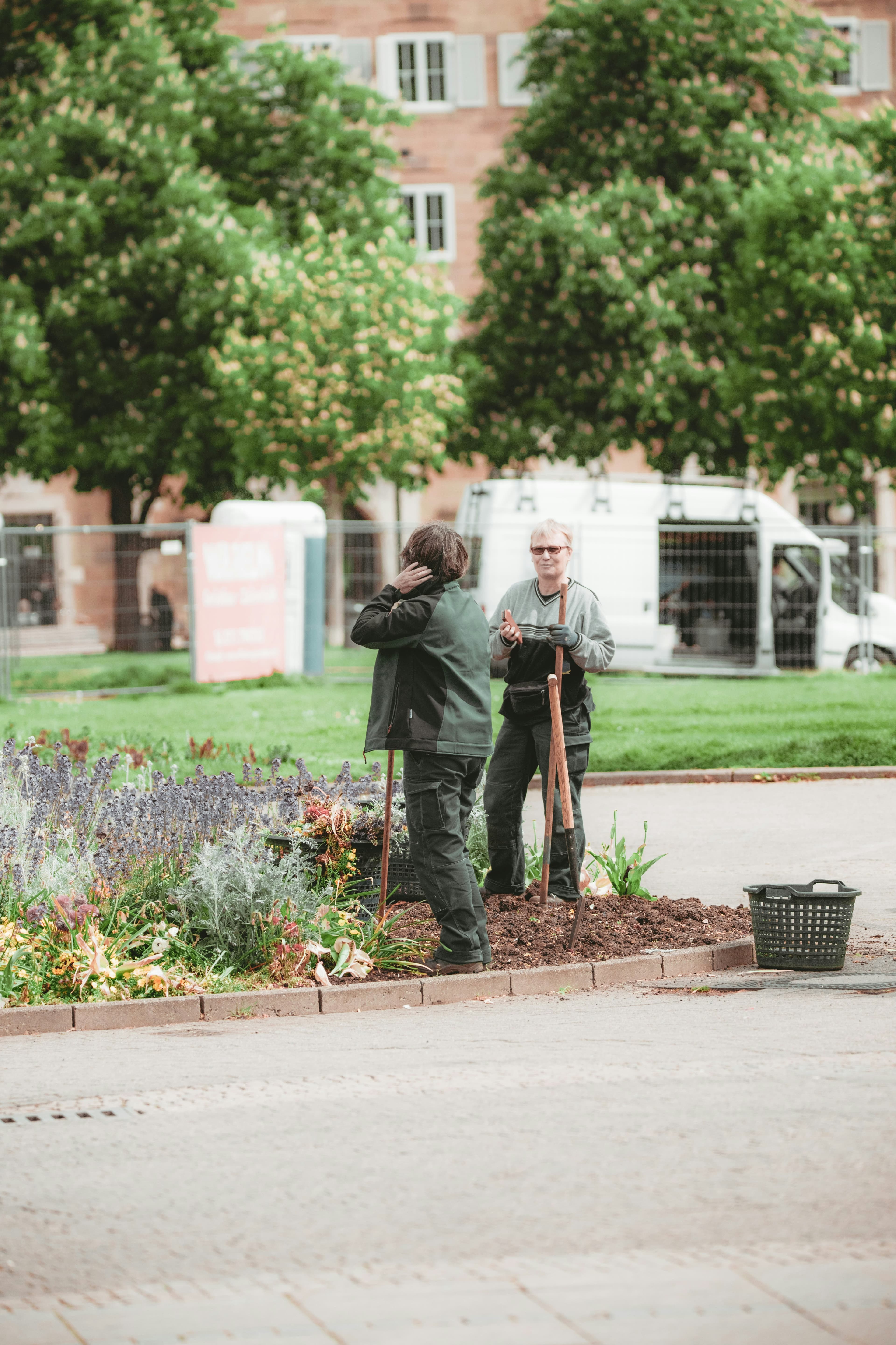 Daily Care & Watering