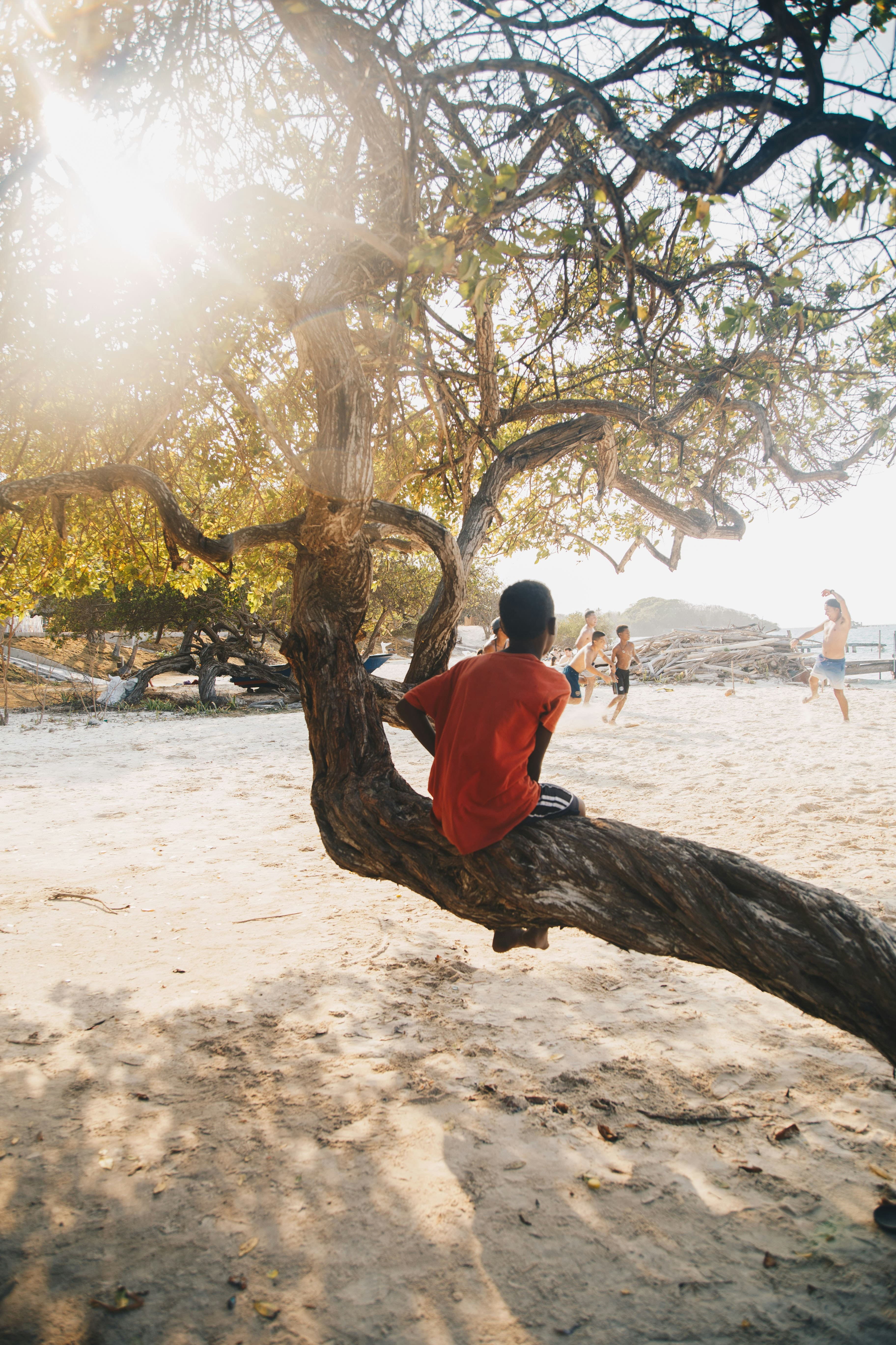 Flowers & Biodiversity